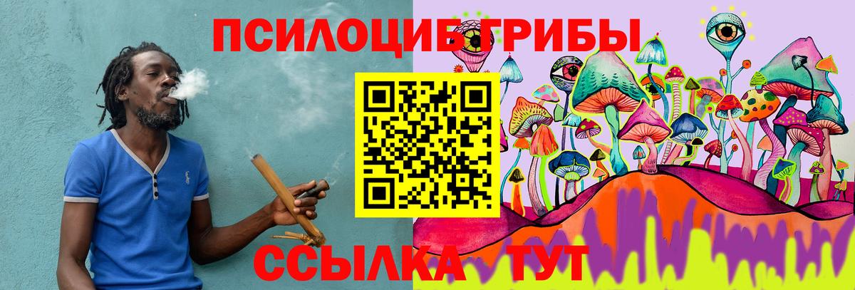 Галлюциногенные грибы Magic Shrooms Лыткарино