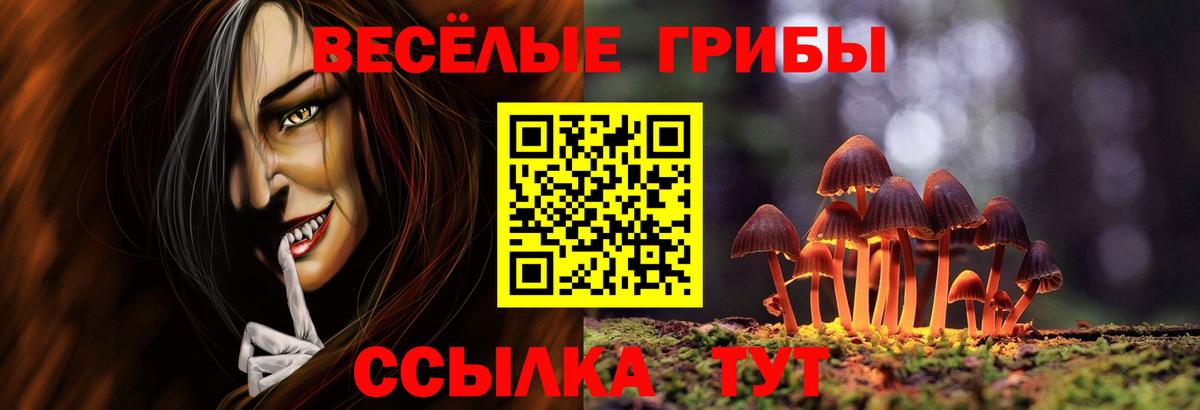 где продают   Галлюциногенные грибы Cubensis  Вход с VPN  Лыткарино 